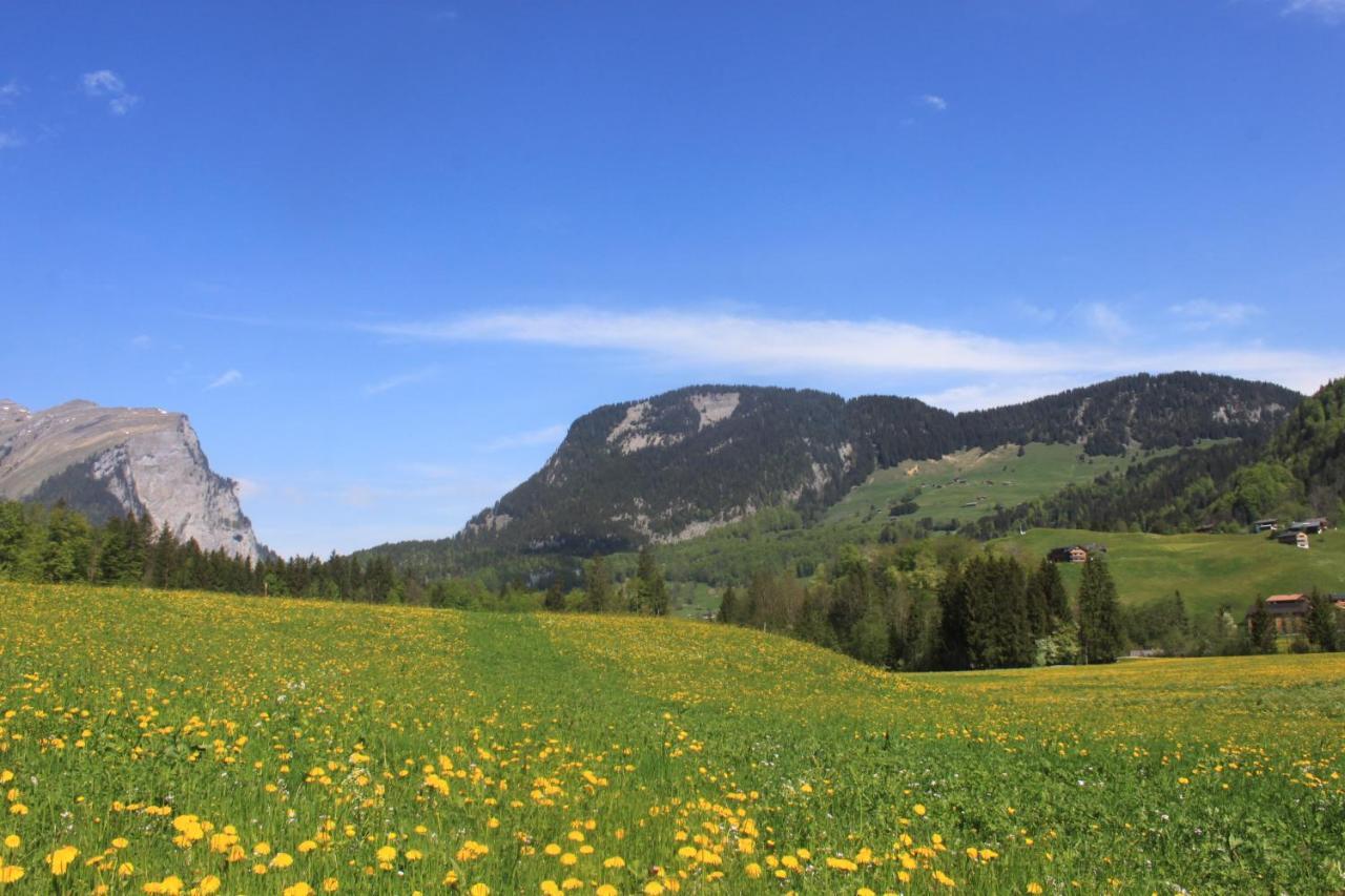 Kanistraum Appartement Schoppernau Exterior photo